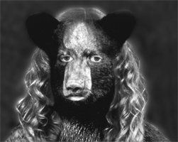 bear